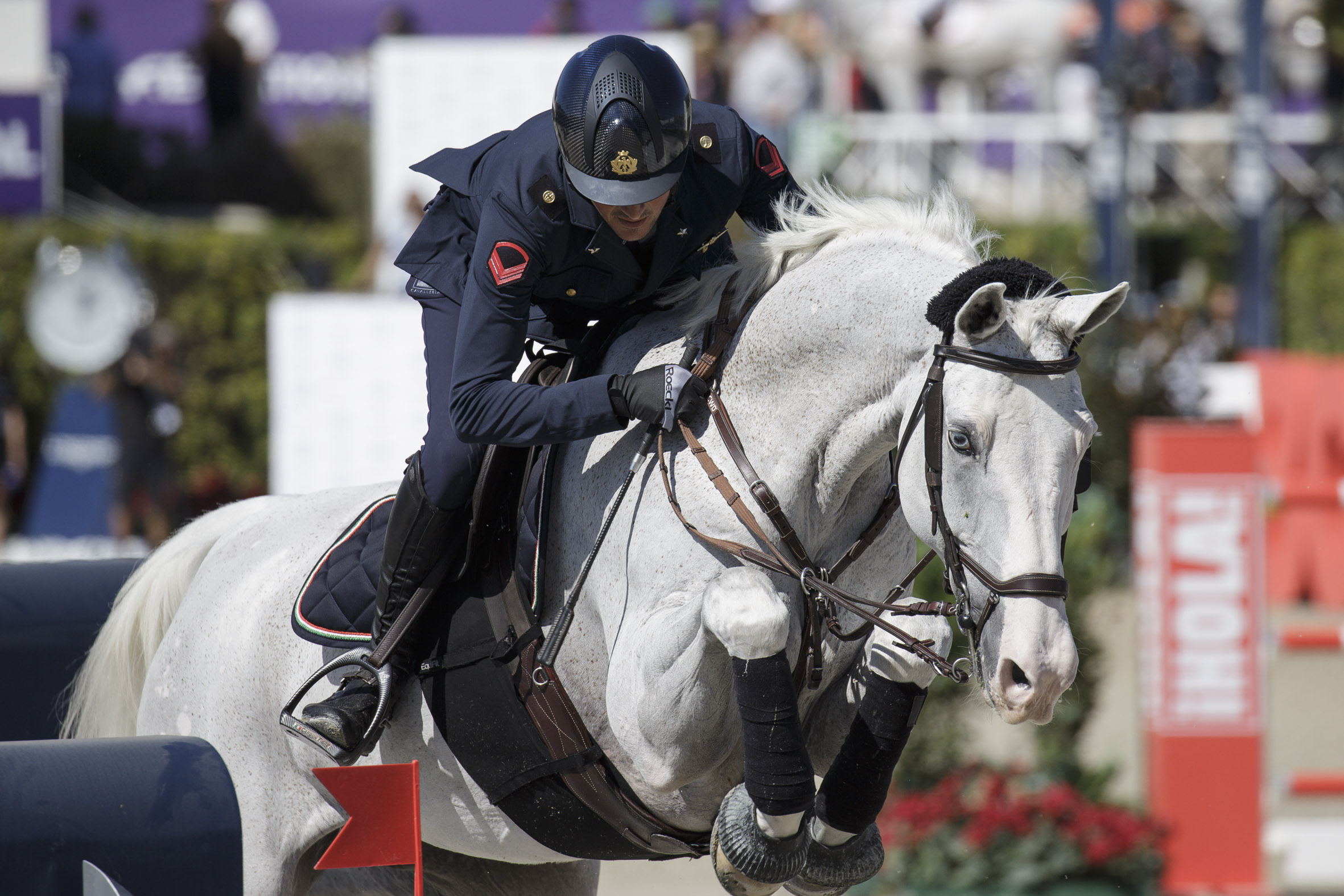 Italy joins the elite of world equestrian sport